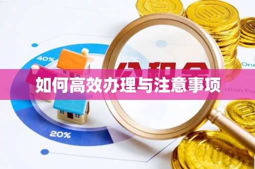 民丰如何高效办理与注意事项