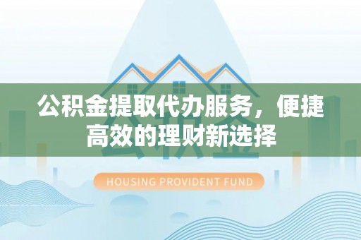 民丰公积金提取代办服务，便捷高效的理财新选择