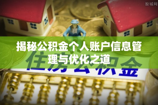 民丰揭秘公积金个人账户信息管理与优化之道