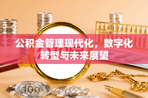 民丰公积金管理现代化，数字化转型与未来展望