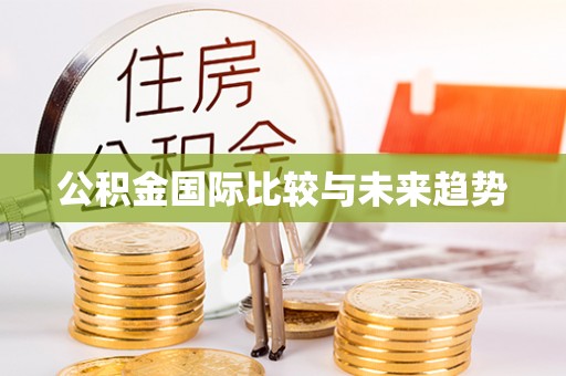 民丰公积金国际比较与未来趋势