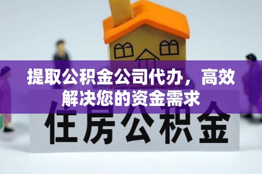 民丰提取公积金公司代办，高效解决您的资金需求