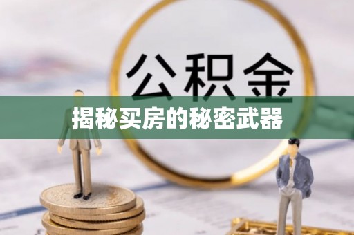 民丰揭秘买房的秘密武器