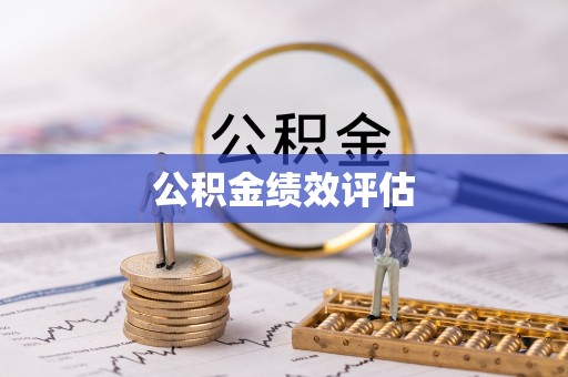 民丰公积金绩效评估
