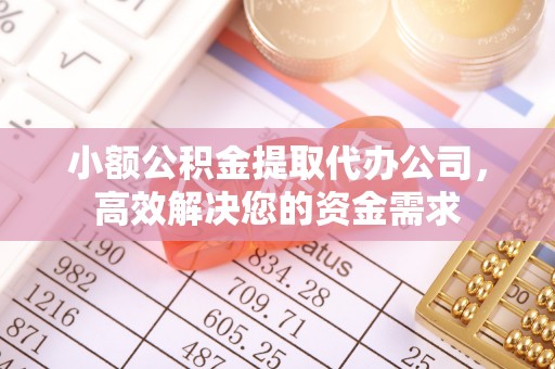 民丰小额公积金提取代办公司，高效解决您的资金需求