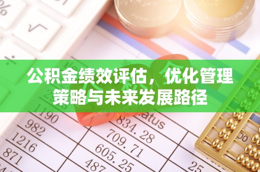 民丰公积金绩效评估，优化管理策略与未来发展路径