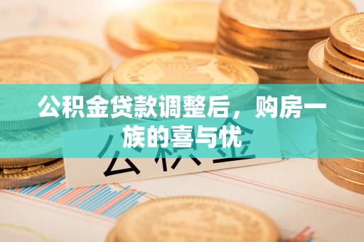 民丰公积金贷款调整后，购房一族的喜与忧