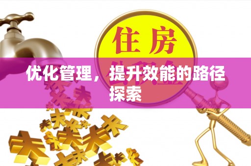 民丰优化管理，提升效能的路径探索