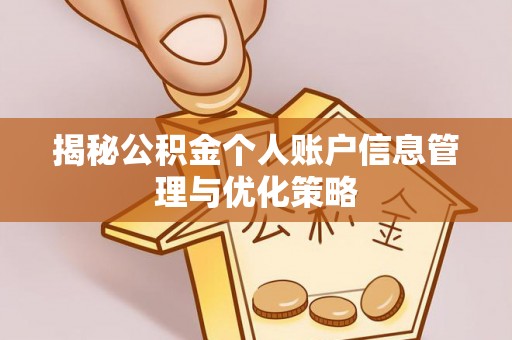 民丰揭秘公积金个人账户信息管理与优化策略