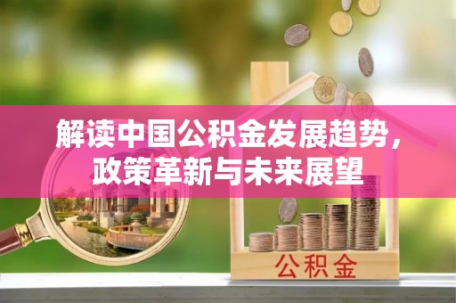 民丰解读中国公积金发展趋势，政策革新与未来展望