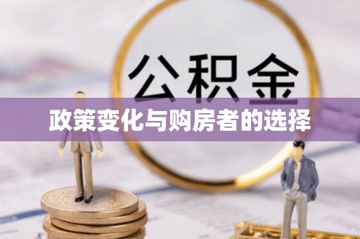民丰政策变化与购房者的选择