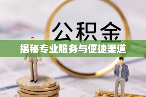民丰揭秘专业服务与便捷渠道