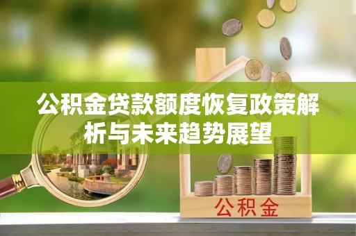 民丰公积金贷款额度恢复政策解析与未来趋势展望