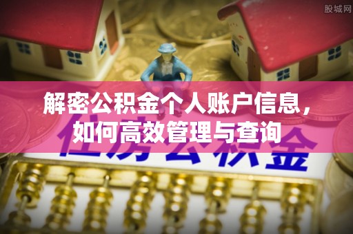 民丰解密公积金个人账户信息，如何高效管理与查询
