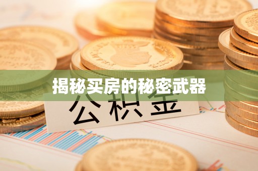 民丰揭秘买房的秘密武器