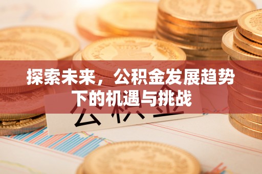 民丰探索未来，公积金发展趋势下的机遇与挑战