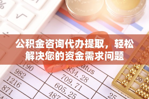 民丰公积金咨询代办提取，轻松解决您的资金需求问题
