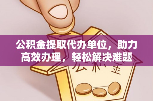 民丰公积金提取代办单位，助力高效办理，轻松解决难题