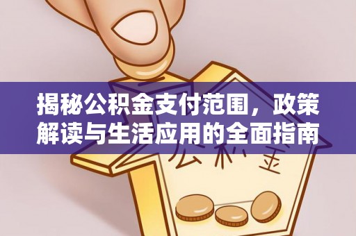 民丰揭秘公积金支付范围，政策解读与生活应用的全面指南