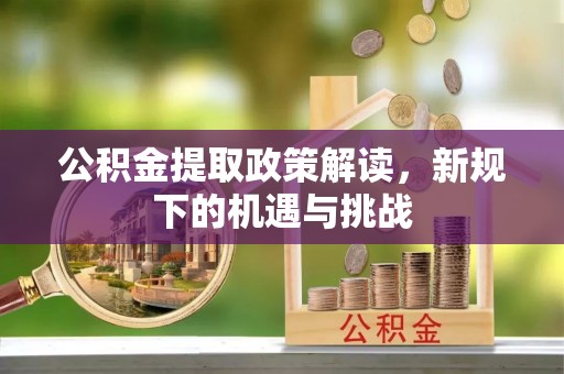 民丰公积金提取政策解读，新规下的机遇与挑战