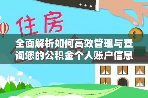 民丰全面解析如何高效管理与查询您的公积金个人账户信息