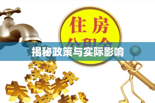 民丰揭秘政策与实际影响