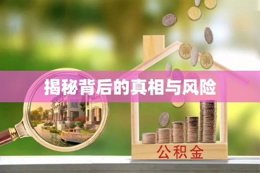 民丰揭秘背后的真相与风险