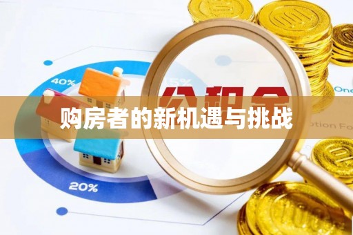 民丰购房者的新机遇与挑战