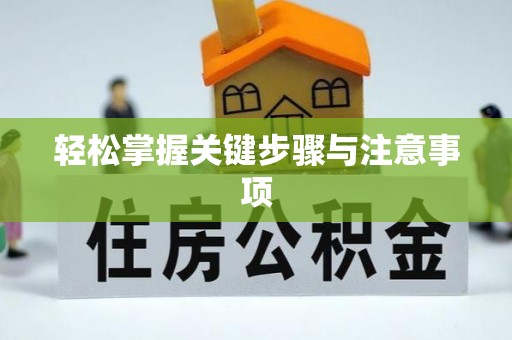民丰轻松掌握关键步骤与注意事项