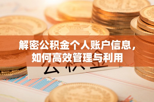 民丰解密公积金个人账户信息，如何高效管理与利用