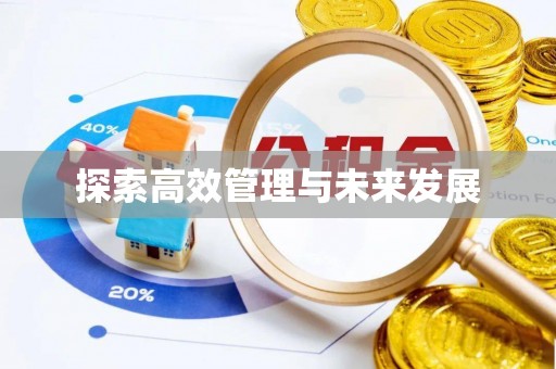 民丰探索高效管理与未来发展