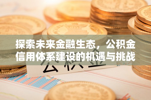 民丰探索未来金融生态，公积金信用体系建设的机遇与挑战