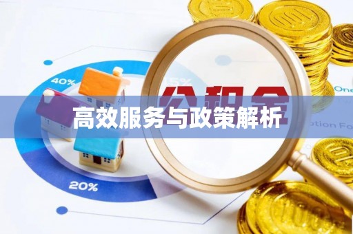 民丰高效服务与政策解析