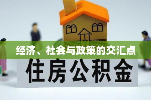 民丰经济、社会与政策的交汇点