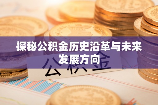 民丰探秘公积金历史沿革与未来发展方向