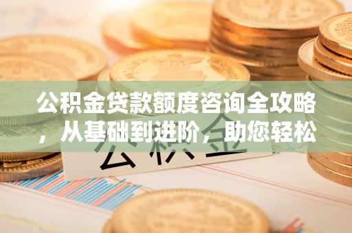民丰公积金贷款额度咨询全攻略，从基础到进阶，助您轻松掌握关键要点