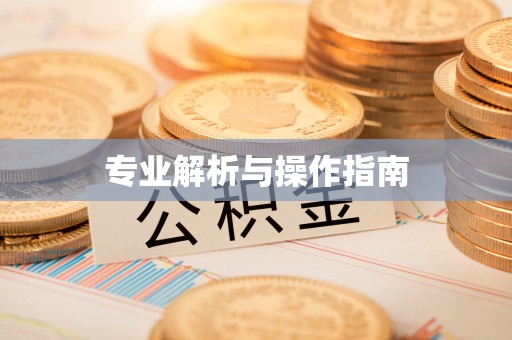 民丰专业解析与操作指南