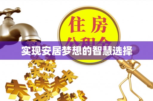 民丰实现安居梦想的智慧选择