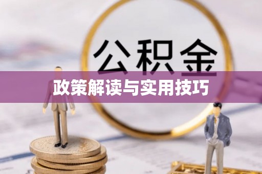 民丰政策解读与实用技巧