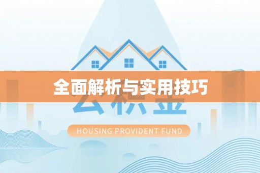 民丰全面解析与实用技巧