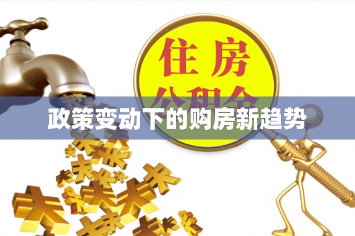 民丰政策变动下的购房新趋势