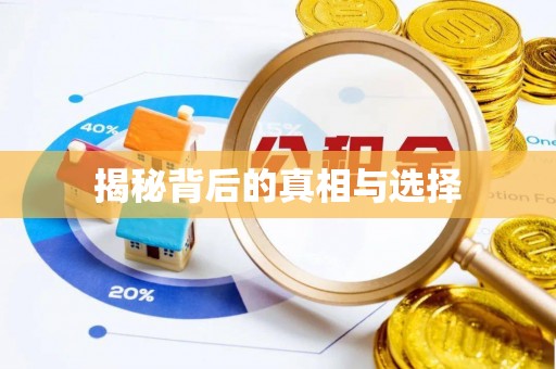 民丰揭秘背后的真相与选择