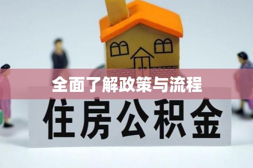 民丰全面了解政策与流程
