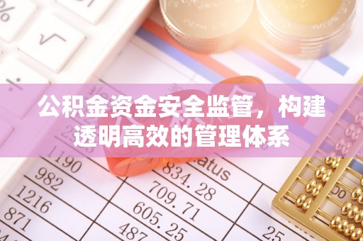 民丰公积金资金安全监管，构建透明高效的管理体系