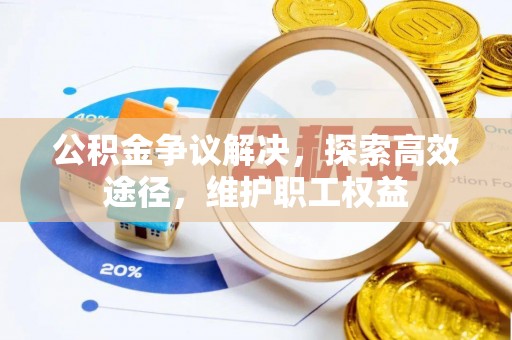 民丰公积金争议解决，探索高效途径，维护职工权益