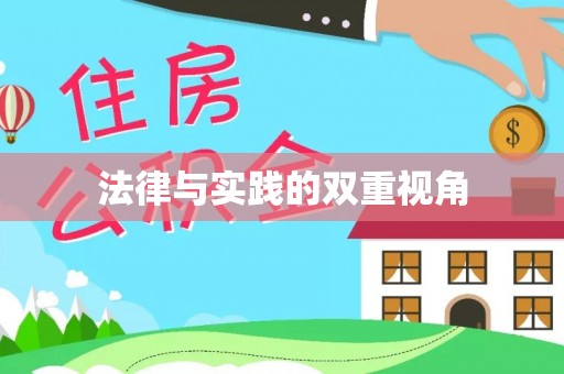 民丰法律与实践的双重视角