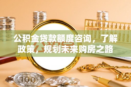 民丰公积金贷款额度咨询，了解政策，规划未来购房之路