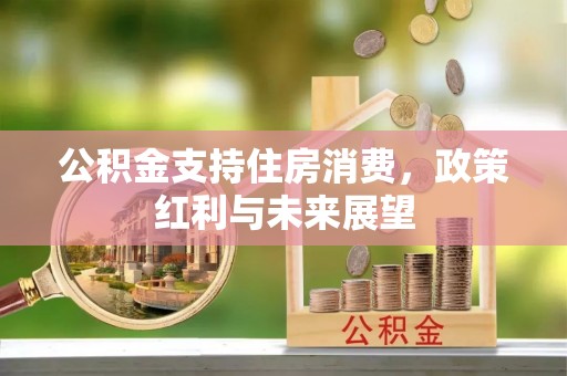 民丰公积金支持住房消费，政策红利与未来展望