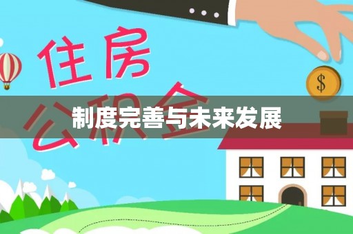 民丰制度完善与未来发展