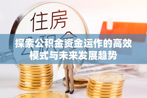 民丰探索公积金资金运作的高效模式与未来发展趋势